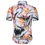 Hawaiian Shirt (Many Colors)